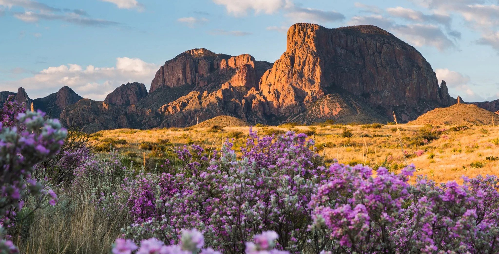 Photograph of a scenic landscape with purple flowers in the foreground, mountains in the background, and a blue sky with scattered clouds.